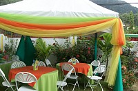 birthday decor
