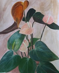Anthurium plant painted in Acrylics, this plant has many meanings, love , good fortune